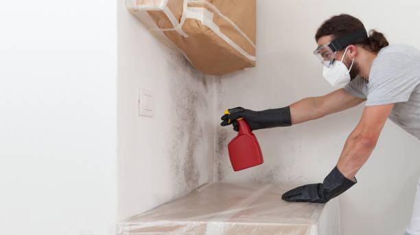Professional Commercial Mold Remediation technician working in Port Jefferson, NY